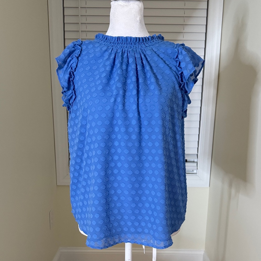 Blue Ruffle Sleeve Top